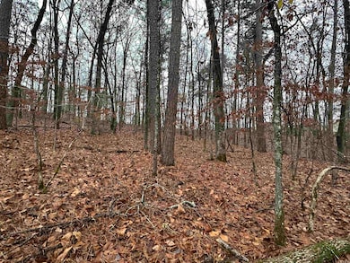 TBD Dogwood, Tull, AR 72015 - photo 2