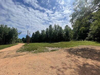 878 Buffalo Bottom Rd, Linden, TN 37096 - photo 3