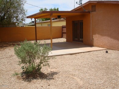 BackYard 1