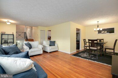 1205 Kathryn Rd, Silver Spring, MD 20904 - photo 5