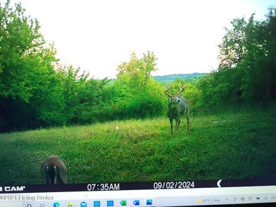 706 Sanders Ln, Willisburg, KY 40078 - photo 2