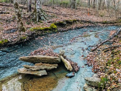 1701 Cooper Ridge Rd, Columbia, KY 42728 - photo 6