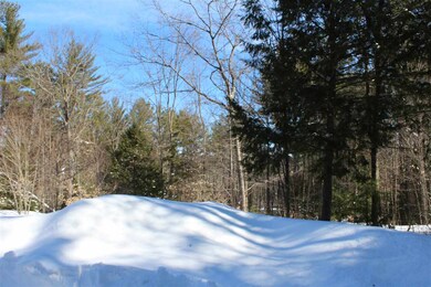 35 Henry Dr, Effingham, NH 03882 - photo 5