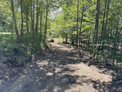 1730 Williams Creek, Rush, KY 41168 - photo 3