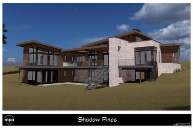 10631 Shadow Pines Rd unit 8, Parker, CO 80138 - photo 4