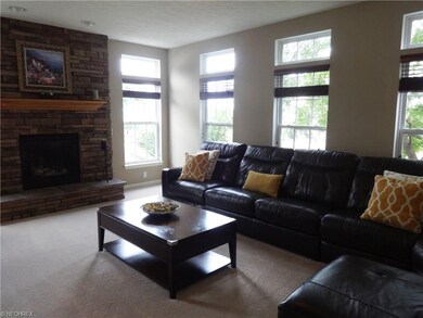Family room with fireplace