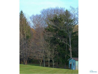 Yard/Garden.