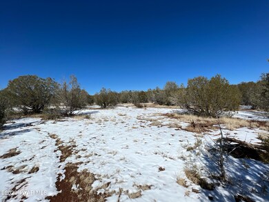 IMG_0162