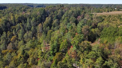 dji_fly_20241011_122830_380_172866419683