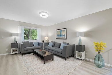 Living room view from the entry