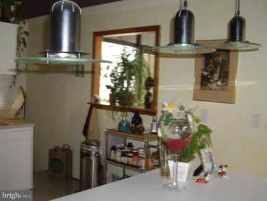 211 Patrick St SW, Vienna, VA 22180 - photo 7