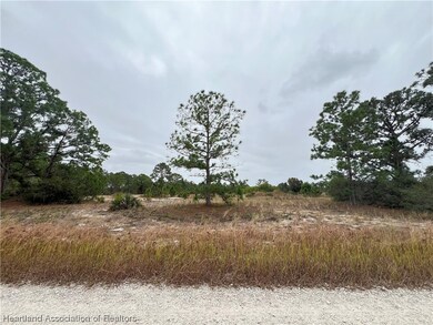 319 Vienna Ave, Lake Placid, FL 33852 - photo 2