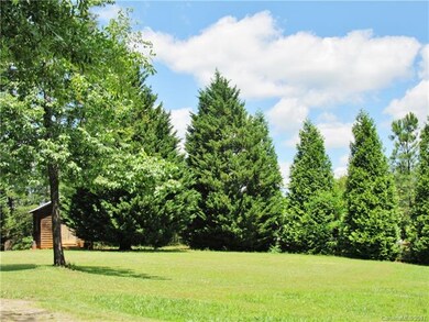 66 Misery Ridge Trail, Mill Spring, NC 28756 - photo 5