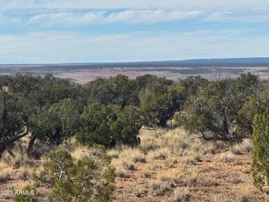 Lot 62 Sierra Highlands Ranch -- unit 62, Saint Johns, AZ 85936 - photo 5