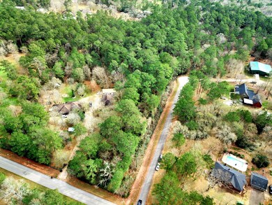 TBD Dan Cir, Magnolia, TX 77355 - photo 3