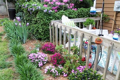 Flowers surround the back porch all summer (taken 