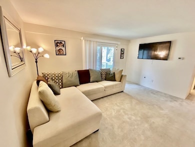 5 Post Oak Ln unit 20, Natick, MA 01760 - photo 3