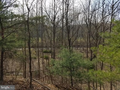 308 Riverwood Trail, Augusta, WV 26704 - photo 7