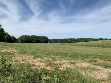 0 Tucker Rd unit RTC3051077, Dickson, TN 37055 - photo 2