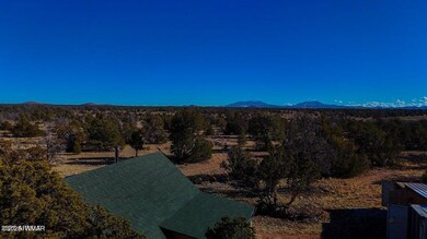 5823 N Cattle Guard Rd 21 41 Acres, Williams, AZ 86046 - photo 5