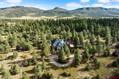 550 Dream Catcher Ln, Durango, CO 81301 - photo 5