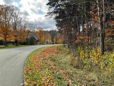 V/L Bay Shore Dr W unit 36, Bay Shore, MI 49720 - photo 4