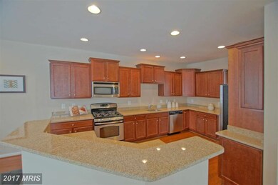 42586 Chisholm Dr, Broadlands, VA 20148 - photo 4