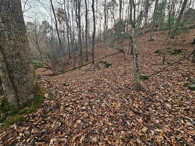 0 Garnet Dr unit 7684172, Ellijay, GA 30540 - photo 5