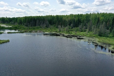 0 Tbd Pequaywan Lake Rd unit LotWP001, Duluth, MN 55803 - photo 4