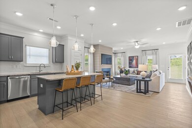 8820 Meadowvale Ct, Ooltewah, TN 37363 - photo 4