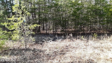 14 Clear Fork Dr, Jamestown, TN 38556 - photo 6