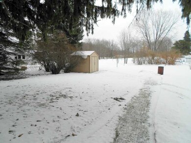 Yard/Garden.