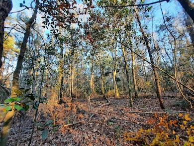 000 Flamingo Ct unit none, Monticello, FL 32344 - photo 4