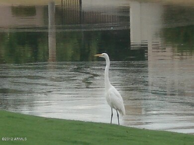 5 Beautiful wildlife