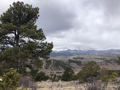 127 Flavin Ln unit 127, Fort Garland, CO 8113 - photo 5