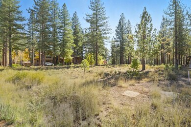 11111 Henness Rd, Truckee, CA 96161 - photo 3