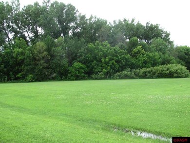 S Third St unit TBD Third St S, Butterfield, MN 56120 - photo 3