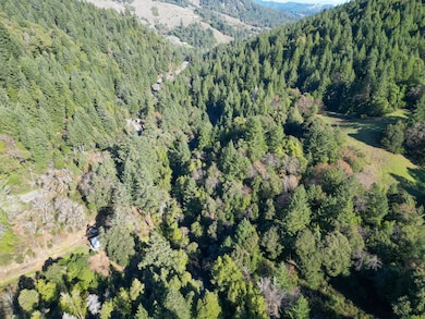 5200 Briceland Rd, Redway, CA 95560 - photo 2