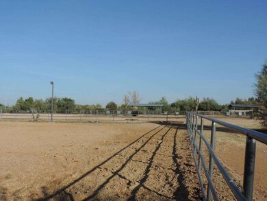 Lit Arena 250 x 120