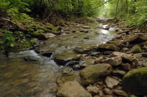 another view of creek