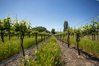 TBD Wilson Hwy, Grandview, WA 98930 - photo 5