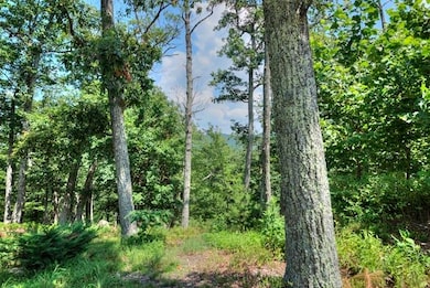 TBD Laurel Ridge Ln, Lyndhurst, VA 22952 - photo 6