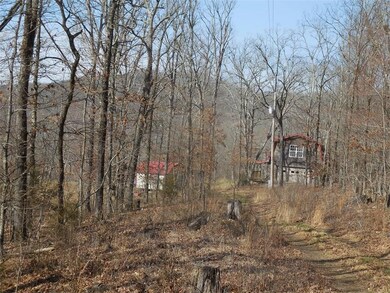 12475 Devils Den Rd, Winslow, AR 72959 - photo 7