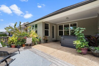 Back patio