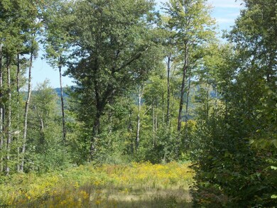 2 Allard Hill Rd, Conway, NH 03818 - photo 2