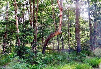 00000 Leisure Loop, Webber Township, MI 49304 - photo 3