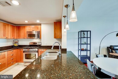 Midtown Alexandria Station Condominiums unit 1309, Alexandria, VA 22303 - photo 6