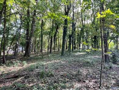 11 Camille Cir, Gadsden, AL 35901 - photo 3