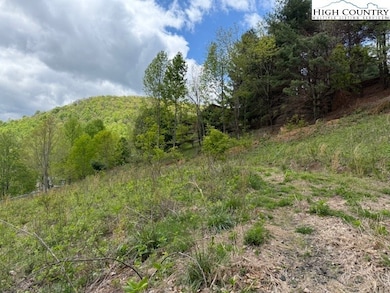 Additional mountain view to right of lot. Roadbed