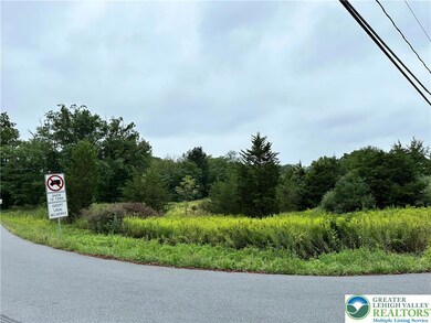 0 Mountain View Dr unit 769079, Lehigh Twp., PA 18038 - photo 5